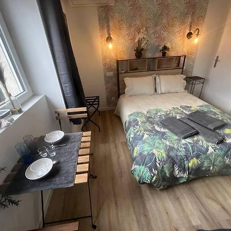 Verdi Studio Cosy Au Calme Parking Gratuit Chasse-sur-Rhone Bagian luar foto